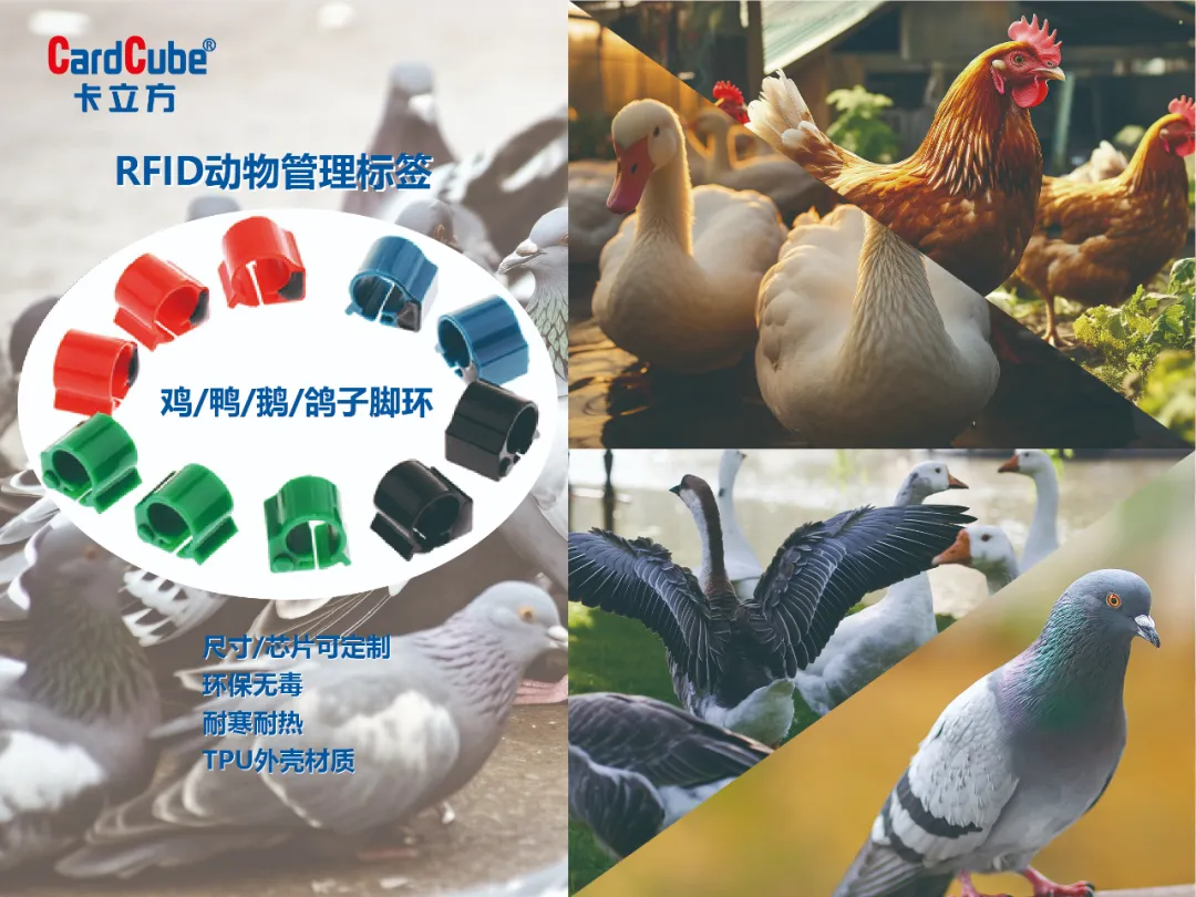 68825136-58bf-4bee-ad70-1d9ec9dfdc53 68825136-58bf-4bee-ad70-1d9ec9dfdc53