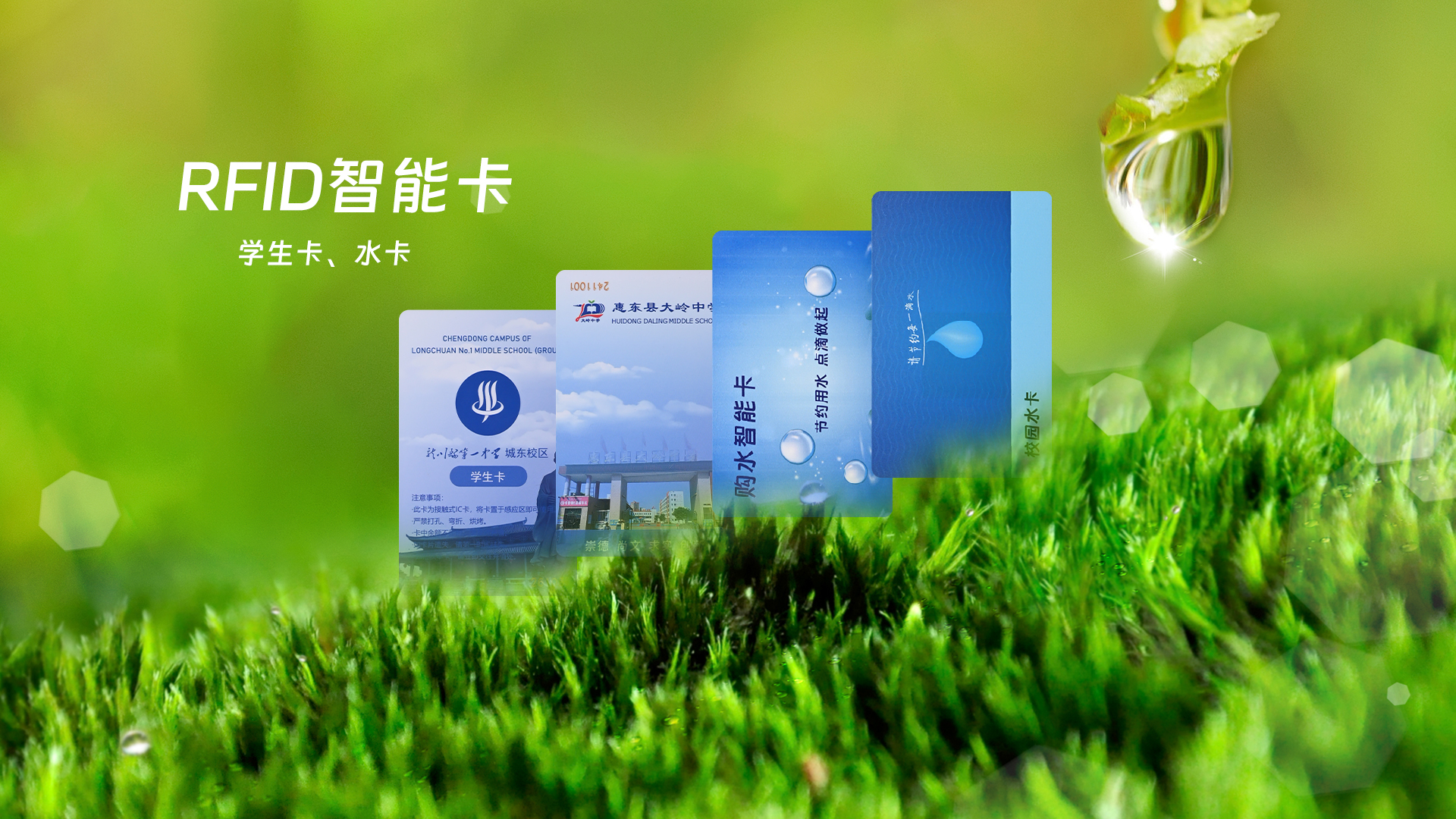 微信圖片_20250328150536 微信圖片_20250328150536